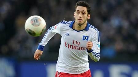 这不仅揭示 这不仅揭示